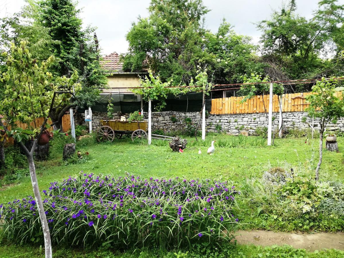 Divna Guest House Kruşuna Exterior foto